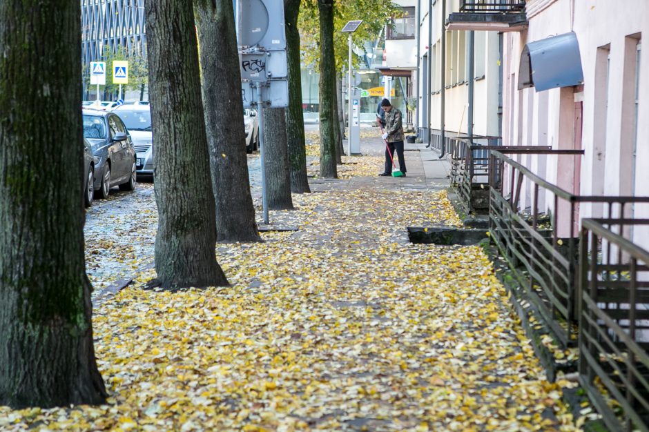 Beda pirštu į lapais nuklotas Kauno gatves: tikrų tikriausia čiuožykla!