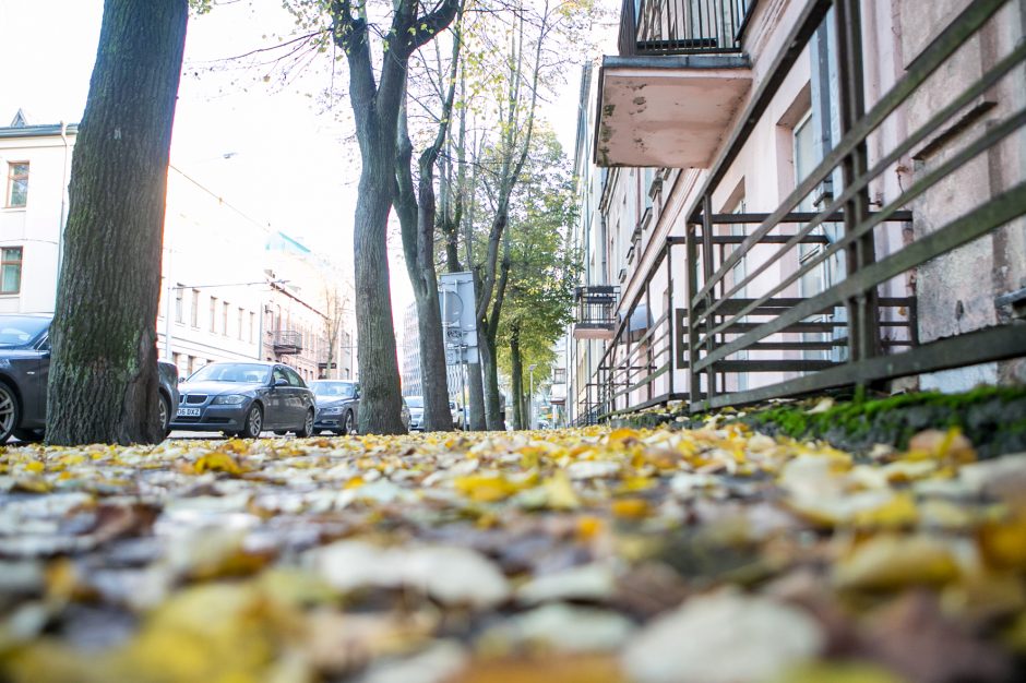 Beda pirštu į lapais nuklotas Kauno gatves: tikrų tikriausia čiuožykla!