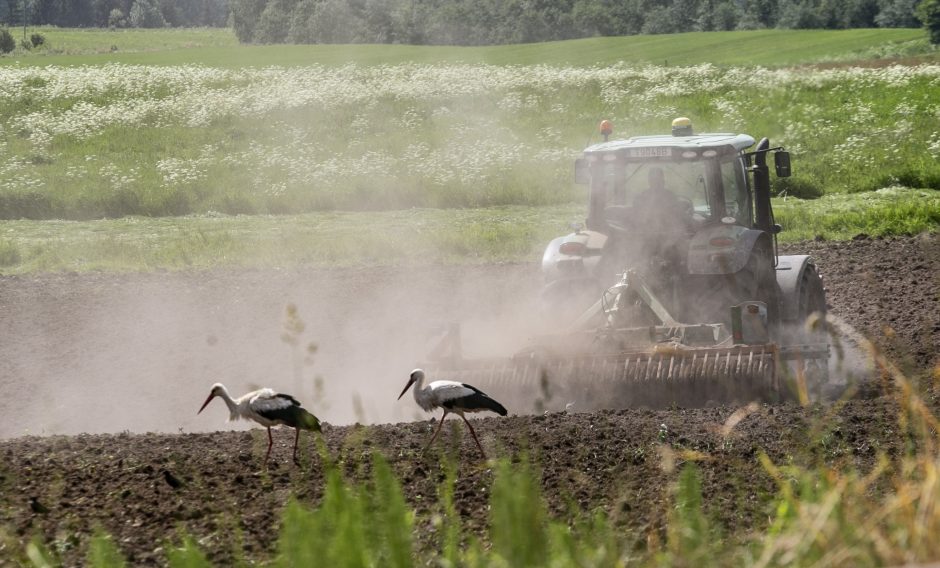 Biržų krašto ūkininkai – Temidės rankose: įtaria, kad nesumokėjo per 339 tūkst. eurų mokesčių