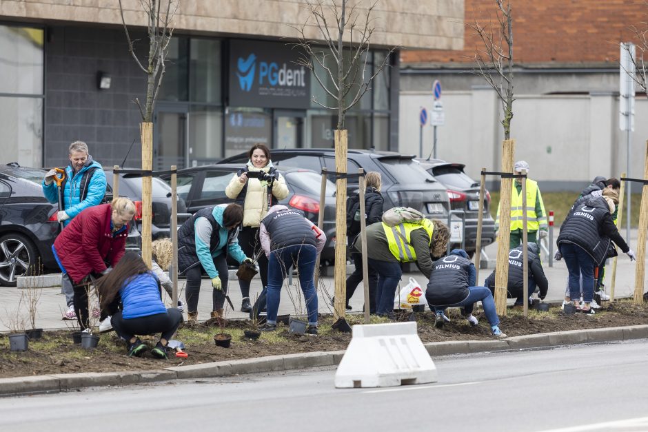 Sostinės meras rengia talką: padėkime Savanorių prospektui sužaliuoti