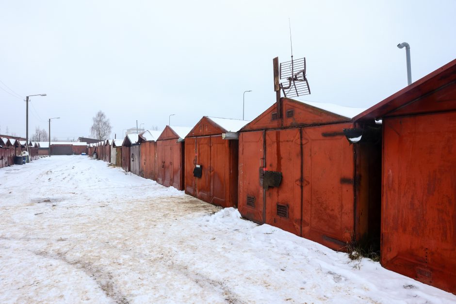 R. Požėla – apie įtariamą mergaitės pagrobėją: baustas už medžių kirtimus, konfliktus su kaimynais