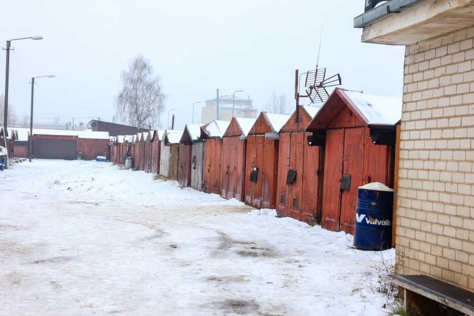 R. Požėla – apie įtariamą mergaitės pagrobėją: baustas už medžių kirtimus, konfliktus su kaimynais