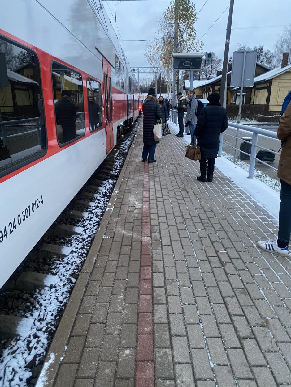 Laisvės alėjoje sodinami narcizai: pavasarį pražys geltonų žiedų upė