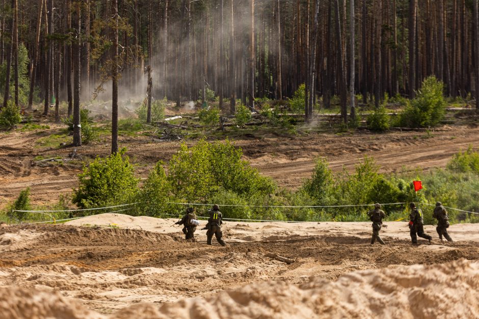 Seimo pirmininkė: parlamentų lyderiai sutaria dėl paramos Ukrainos narystei NATO