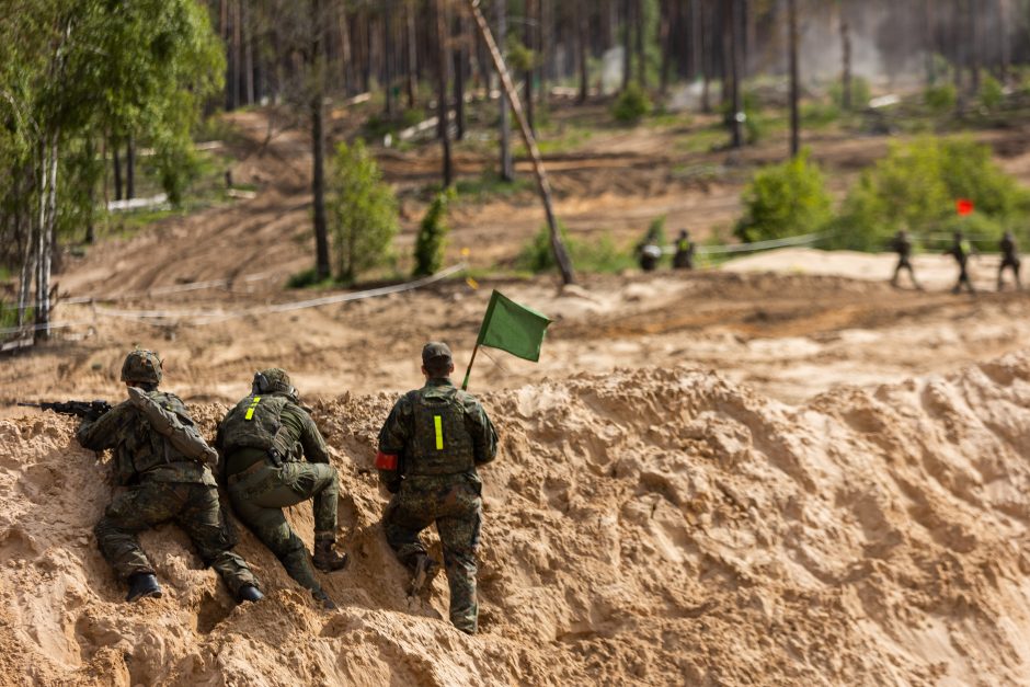 Seimo pirmininkė: parlamentų lyderiai sutaria dėl paramos Ukrainos narystei NATO