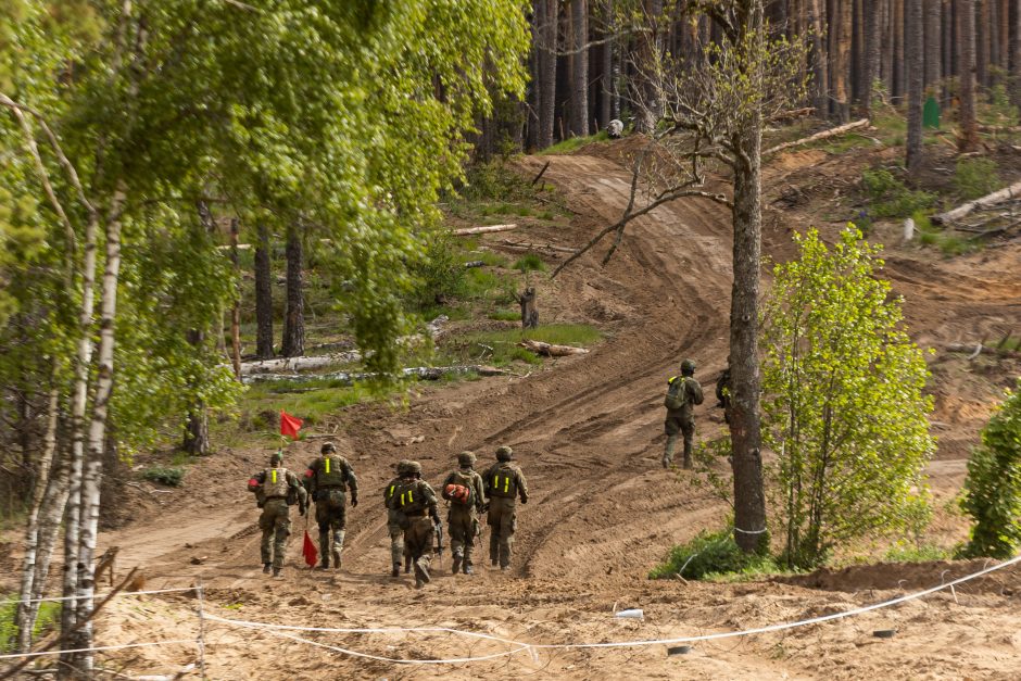 Seimo pirmininkė: parlamentų lyderiai sutaria dėl paramos Ukrainos narystei NATO