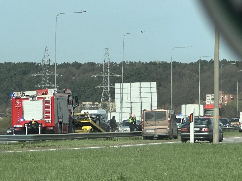 Kaktomuša ant Lampėdžių tilto: pakaunėje pasiklydusiam senoliui teks stoti prieš teismą