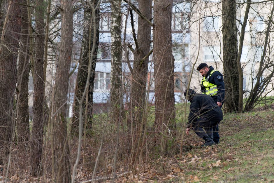 Galimai pagrobto vaiko paieška: apklausiami liudininkai, „šukuojama“ įvykio vieta