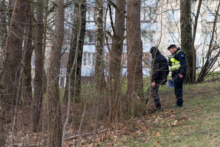 Galimai pagrobto vaiko paieška: apklausiami liudininkai, „šukuojama“ įvykio vieta