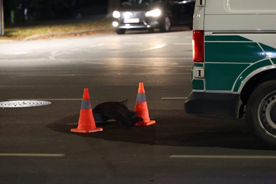 Tragedija judrioje sankryžoje: iškalbingos biografijos velionis pridarė problemų jaunam kauniečiui