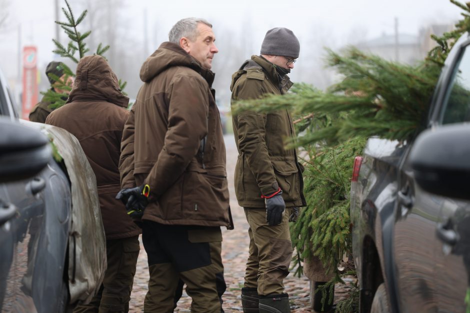 Miškininkai vėl pakvietė į namus parsinešti kvepiančias Kalėdas