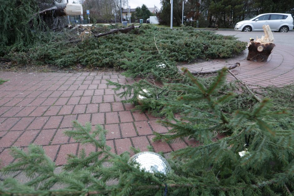 Nuo stipraus vėjo nuvirto Ringaudų kalėdinė eglė