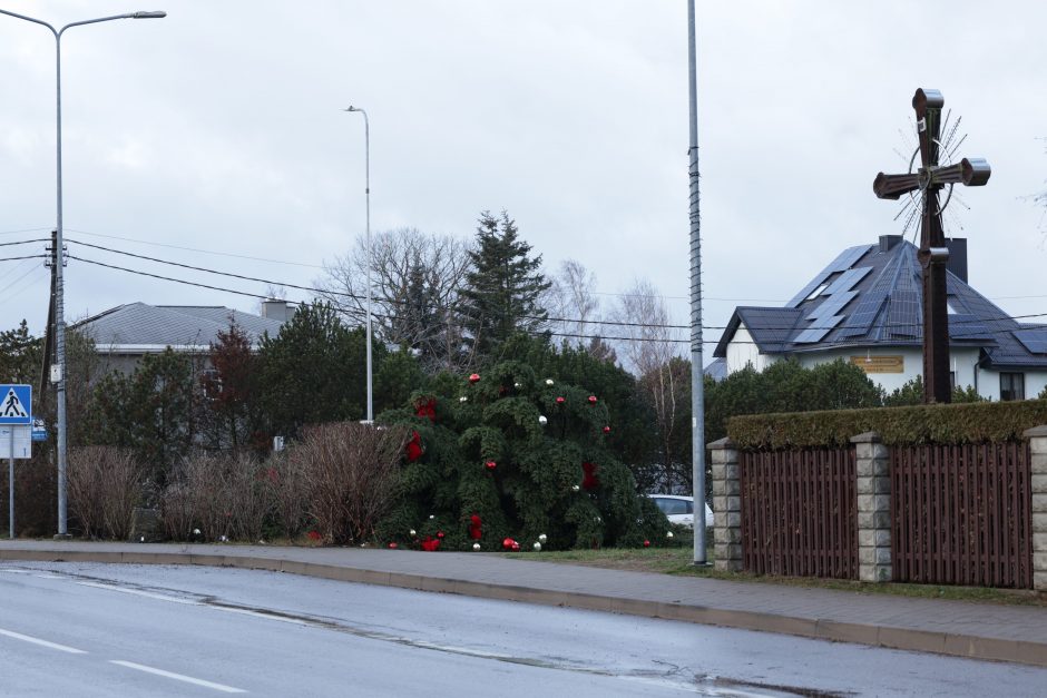 Nuo stipraus vėjo nuvirto Ringaudų kalėdinė eglė