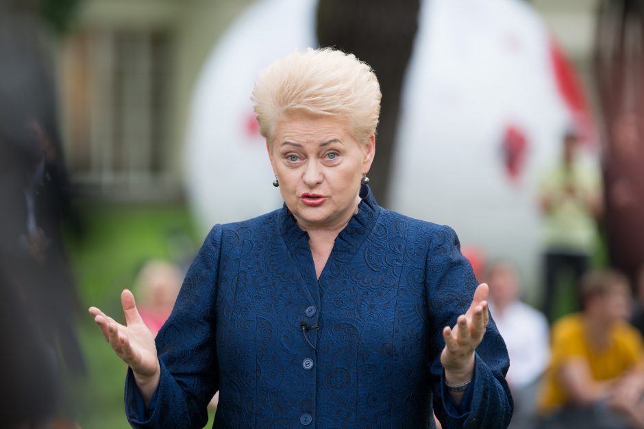 D. Grybauskaitė vetavo įstatymą dėl teisės turėti ginklą karo metu