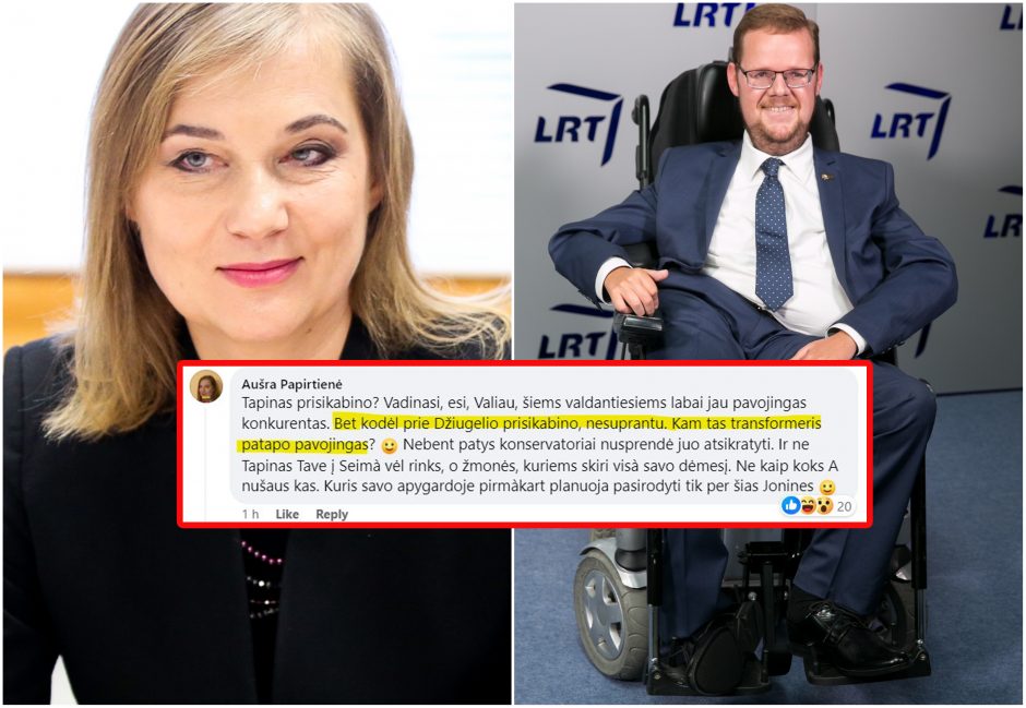 Pribloškė politikės komentaras: kam tas transformeris tapo pavojingas?