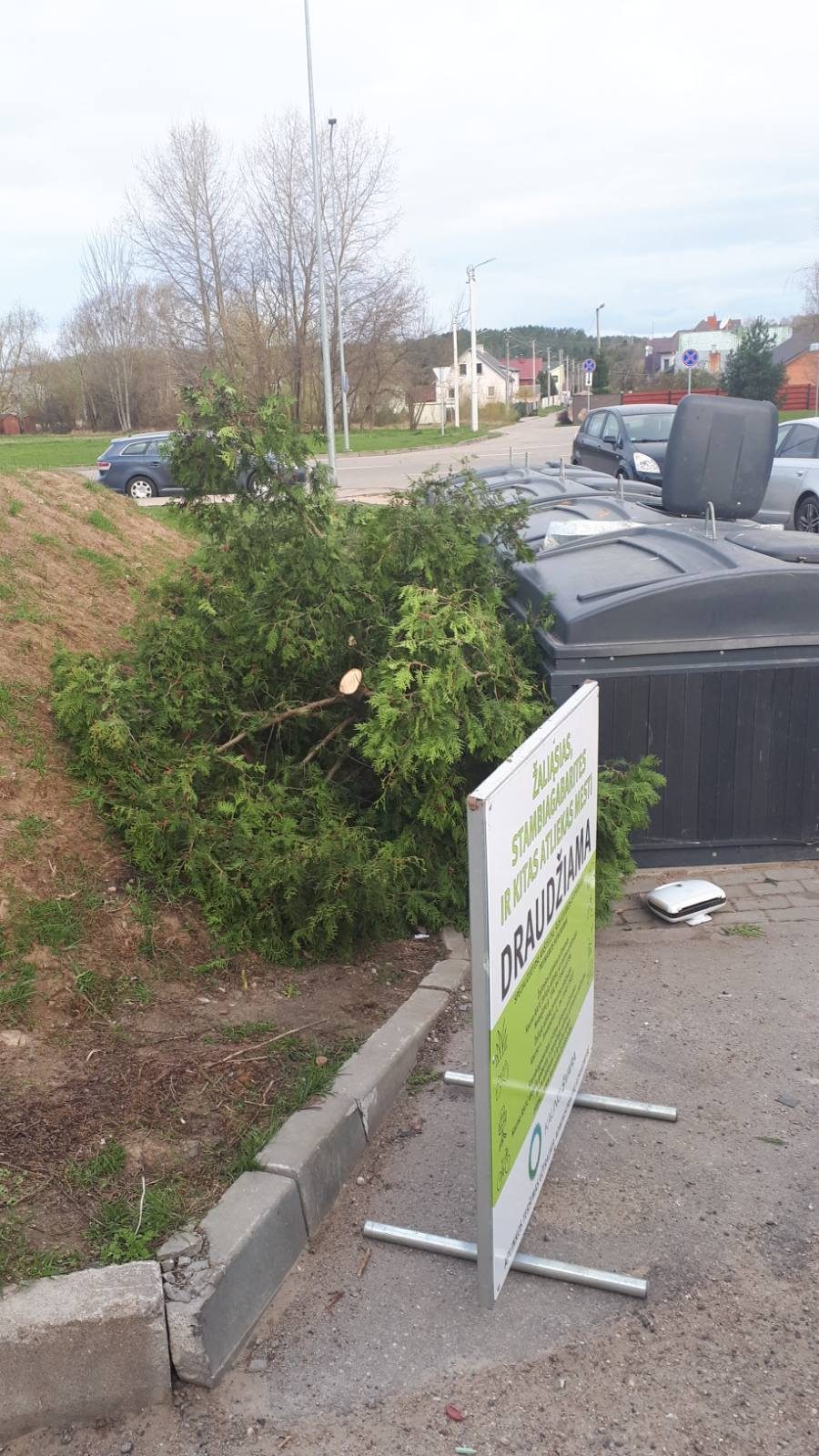 Miesto šiukšlintojus fiksuoja vaizdo kameros: jie kenkia mums visiems