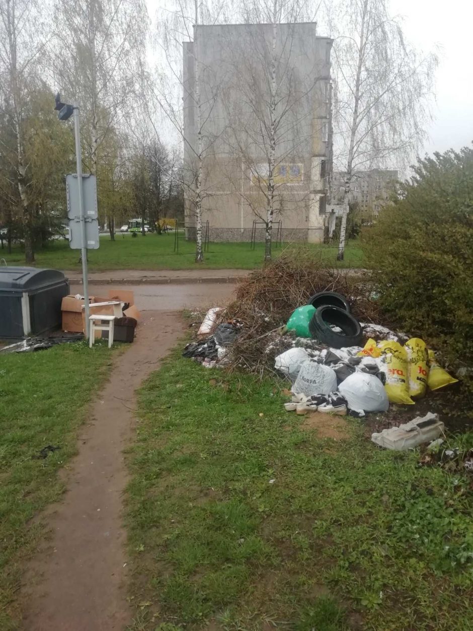 Miesto šiukšlintojus fiksuoja vaizdo kameros: jie kenkia mums visiems