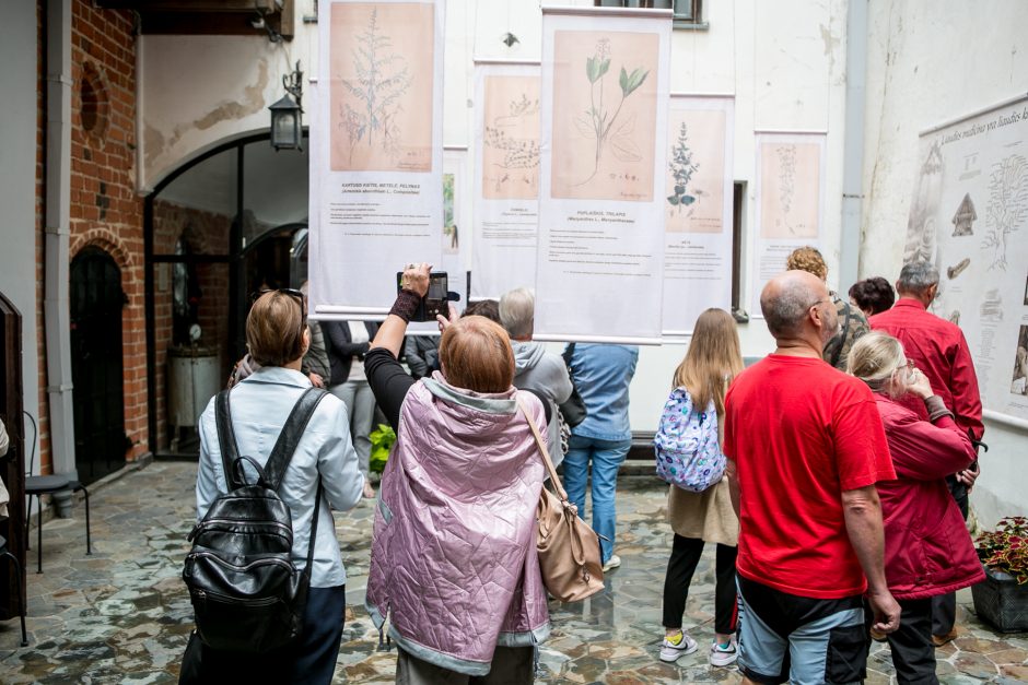 Muziejaus kiemelyje prabilo žolės: kelios dešimtys kvapų ir unikalūs receptai