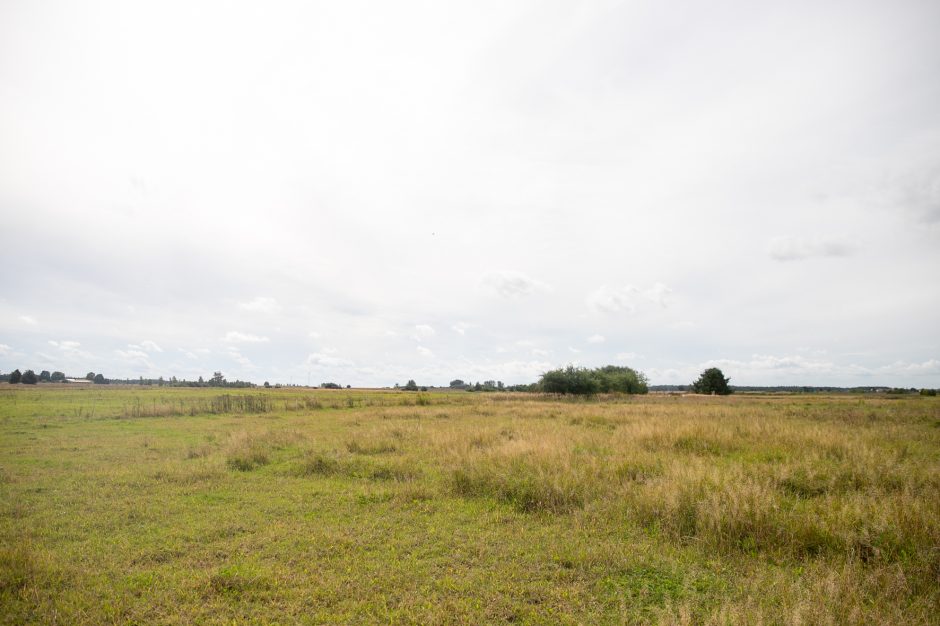 Atgarsiai iš Žiegždrių: baisiomis sąlygomis laikomų šunų savininkui skirta bauda