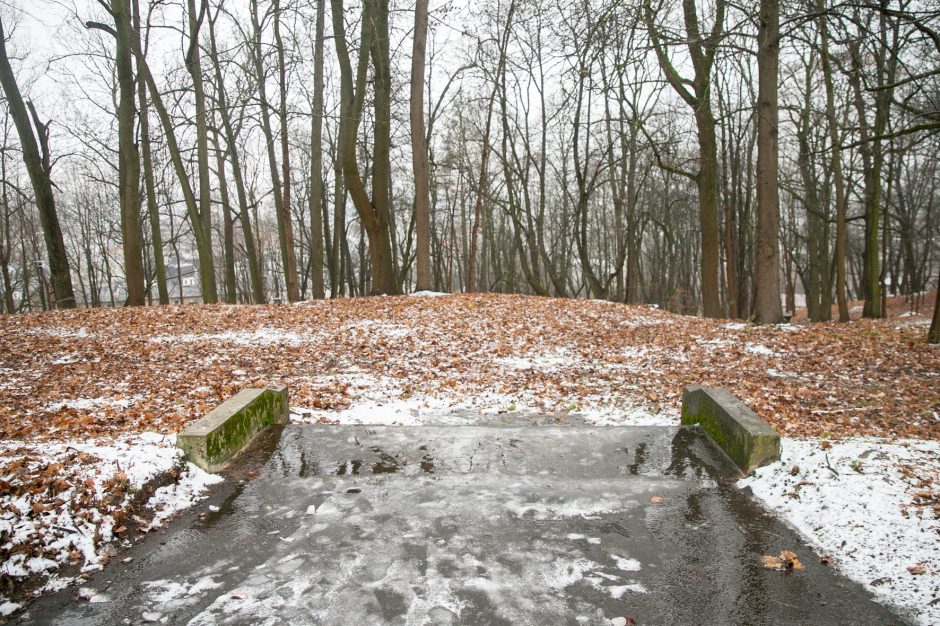 Miestas perims Vytauto parką?