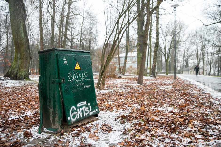 Miestas perims Vytauto parką?