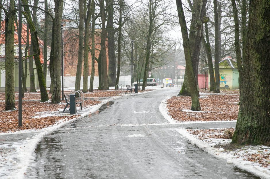 Miestas perims Vytauto parką?