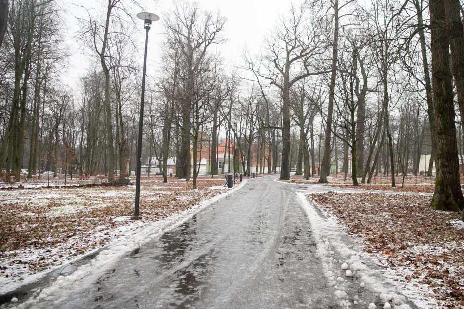 Miestas perims Vytauto parką?