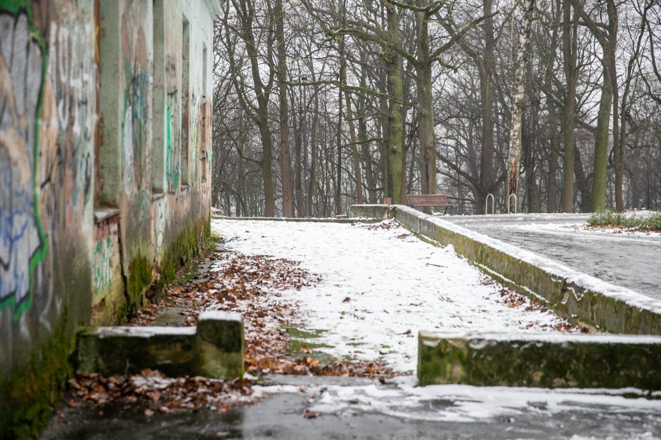 Miestas perims Vytauto parką?