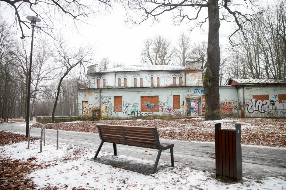 Miestas perims Vytauto parką?