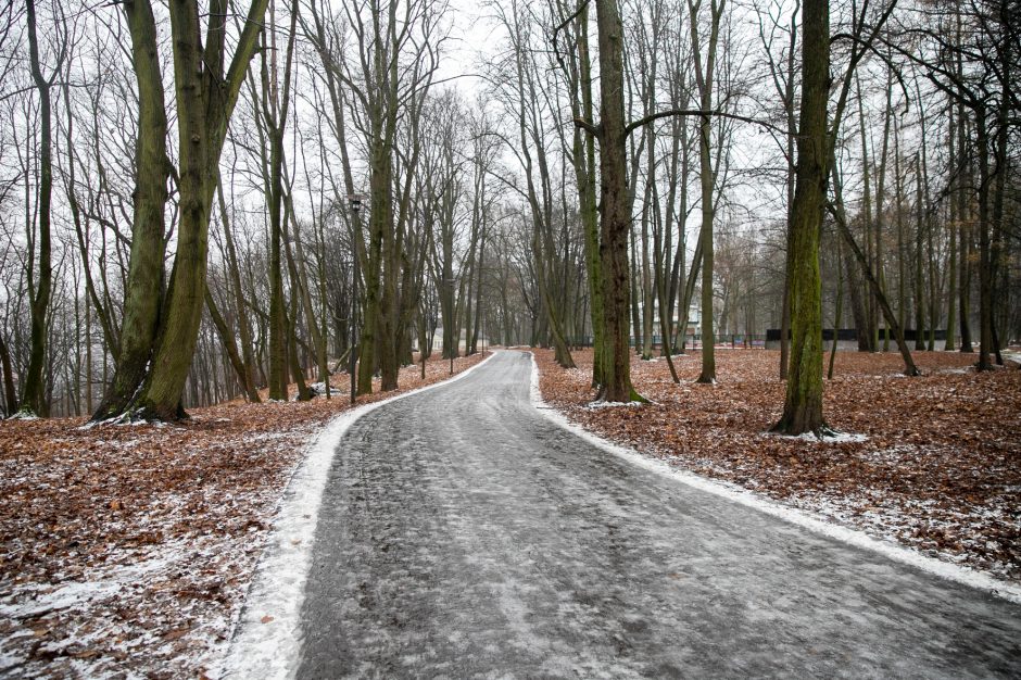 Miestas perims Vytauto parką?