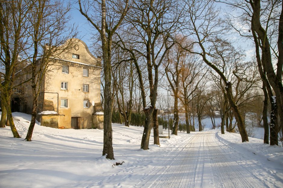 Nykstantį Linkuvos dvaro parką Kaunas sieks prikelti antram gyvenimui