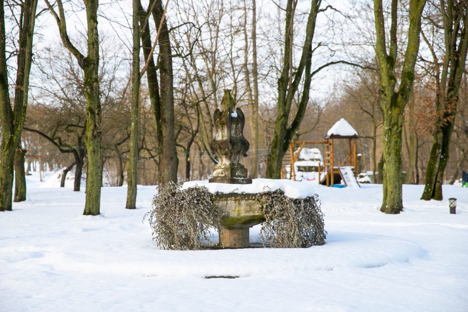 Nykstantį Linkuvos dvaro parką Kaunas sieks prikelti antram gyvenimui