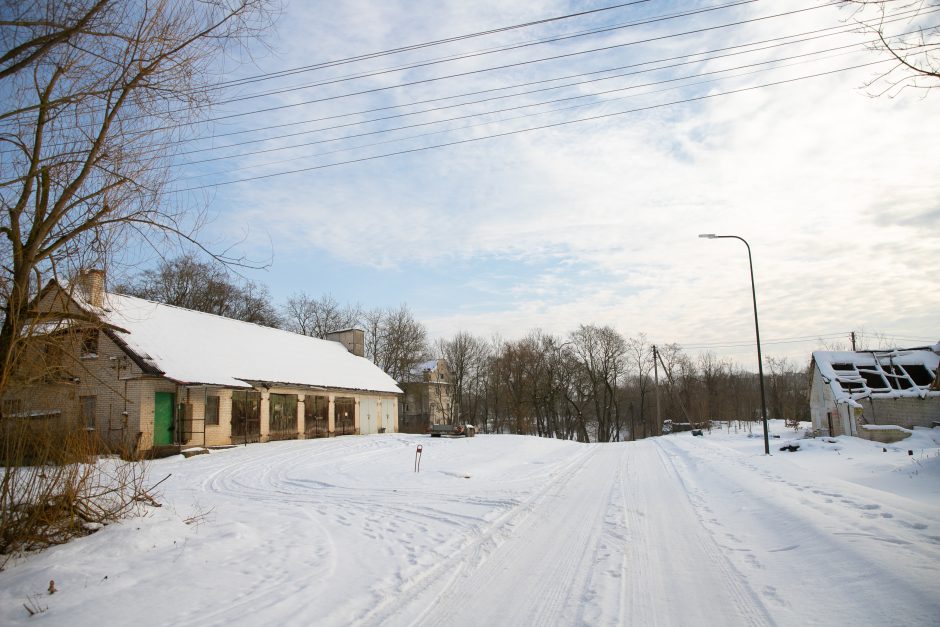 Nykstantį Linkuvos dvaro parką Kaunas sieks prikelti antram gyvenimui