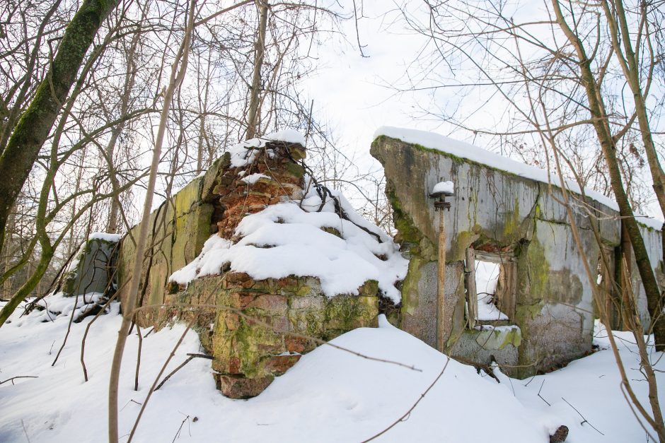 Nykstantį Linkuvos dvaro parką Kaunas sieks prikelti antram gyvenimui