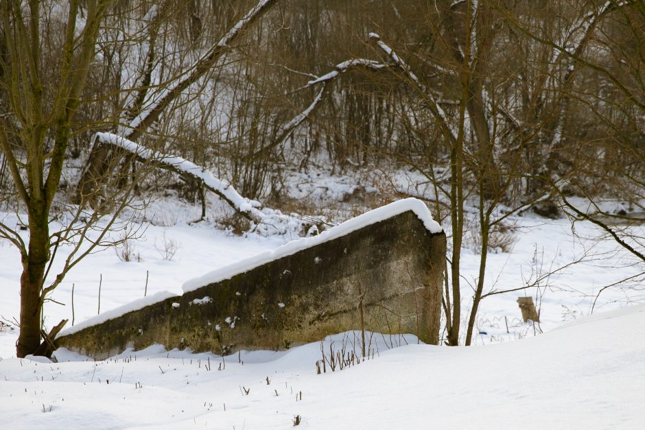 Nykstantį Linkuvos dvaro parką Kaunas sieks prikelti antram gyvenimui