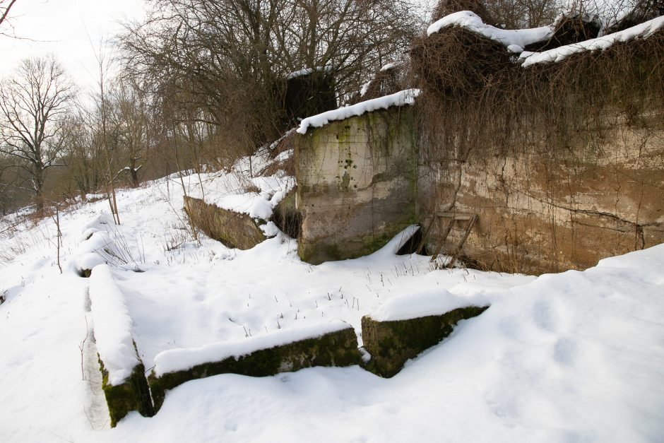 Nykstantį Linkuvos dvaro parką Kaunas sieks prikelti antram gyvenimui