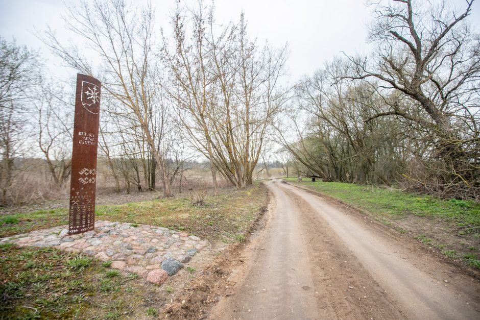 Pakarklės miškas – tikras lobynas: yra sakančių, kad čia Lietuvos Šveicarija