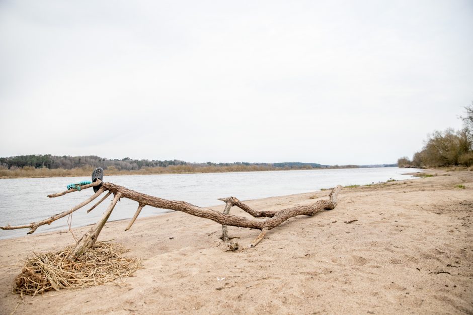 Pakarklės miškas – tikras lobynas: yra sakančių, kad čia Lietuvos Šveicarija