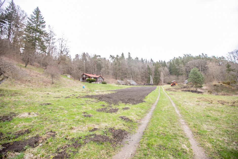 Pakarklės miškas – tikras lobynas: yra sakančių, kad čia Lietuvos Šveicarija