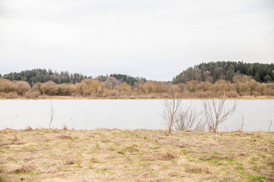 Pakarklės miškas – tikras lobynas: yra sakančių, kad čia Lietuvos Šveicarija