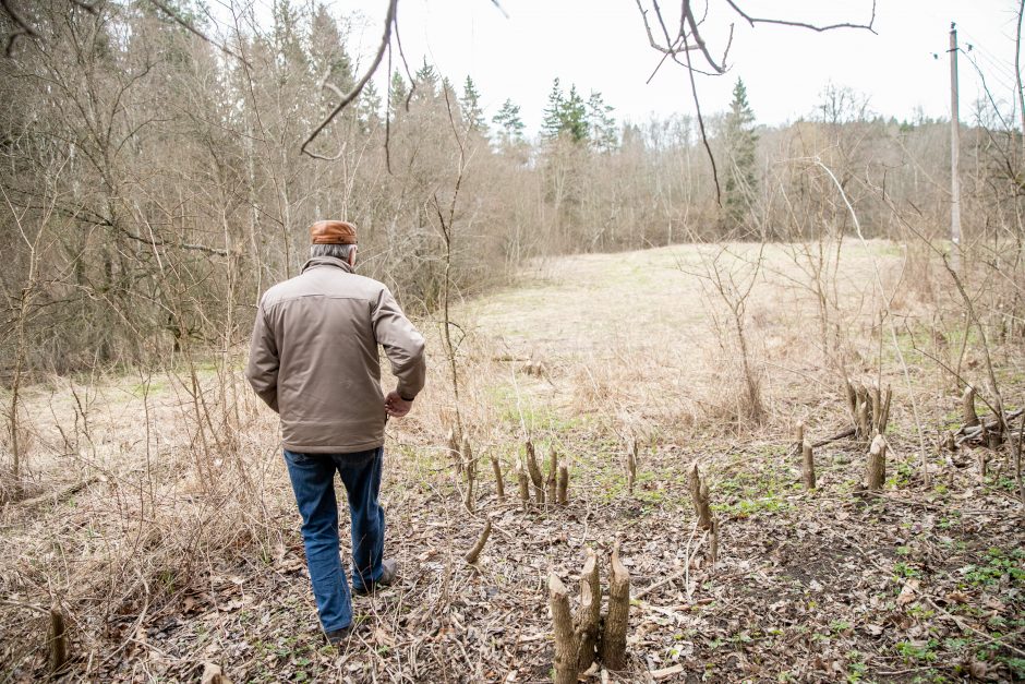 Pakarklės miškas – tikras lobynas: yra sakančių, kad čia Lietuvos Šveicarija