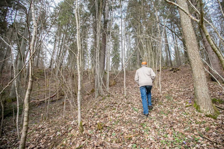 Pakarklės miškas – tikras lobynas: yra sakančių, kad čia Lietuvos Šveicarija