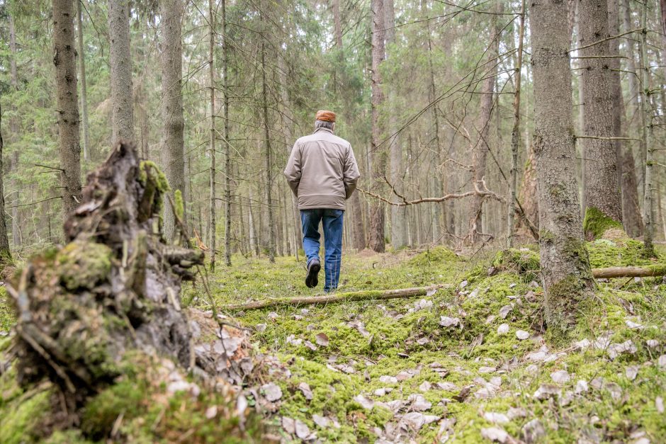 Pakarklės miškas – tikras lobynas: yra sakančių, kad čia Lietuvos Šveicarija