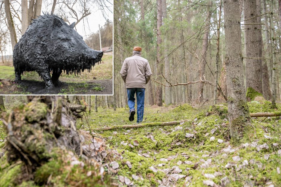 Pakarklės miškas – tikras lobynas: yra sakančių, kad čia Lietuvos Šveicarija