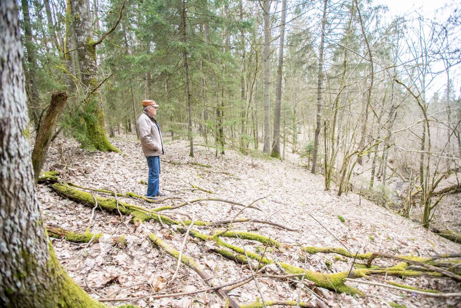 Pakarklės miškas – tikras lobynas: yra sakančių, kad čia Lietuvos Šveicarija