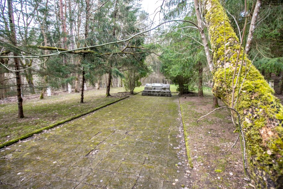 Pakarklės miškas – tikras lobynas: yra sakančių, kad čia Lietuvos Šveicarija