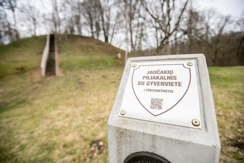 Pakarklės miškas – tikras lobynas: yra sakančių, kad čia Lietuvos Šveicarija