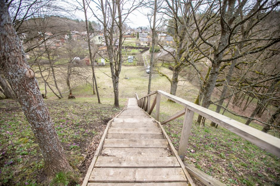 Pakarklės miškas – tikras lobynas: yra sakančių, kad čia Lietuvos Šveicarija