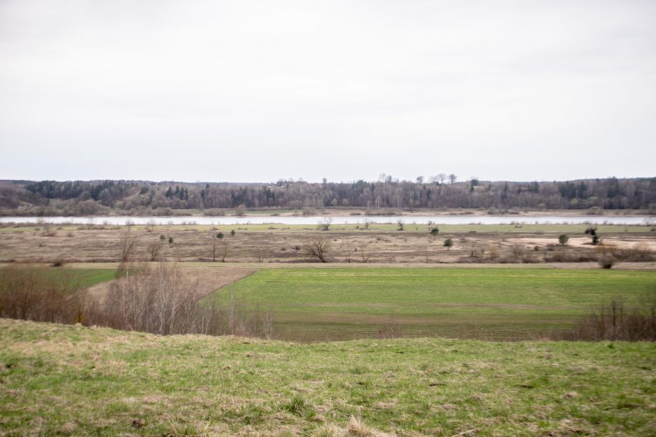 Pakarklės miškas – tikras lobynas: yra sakančių, kad čia Lietuvos Šveicarija