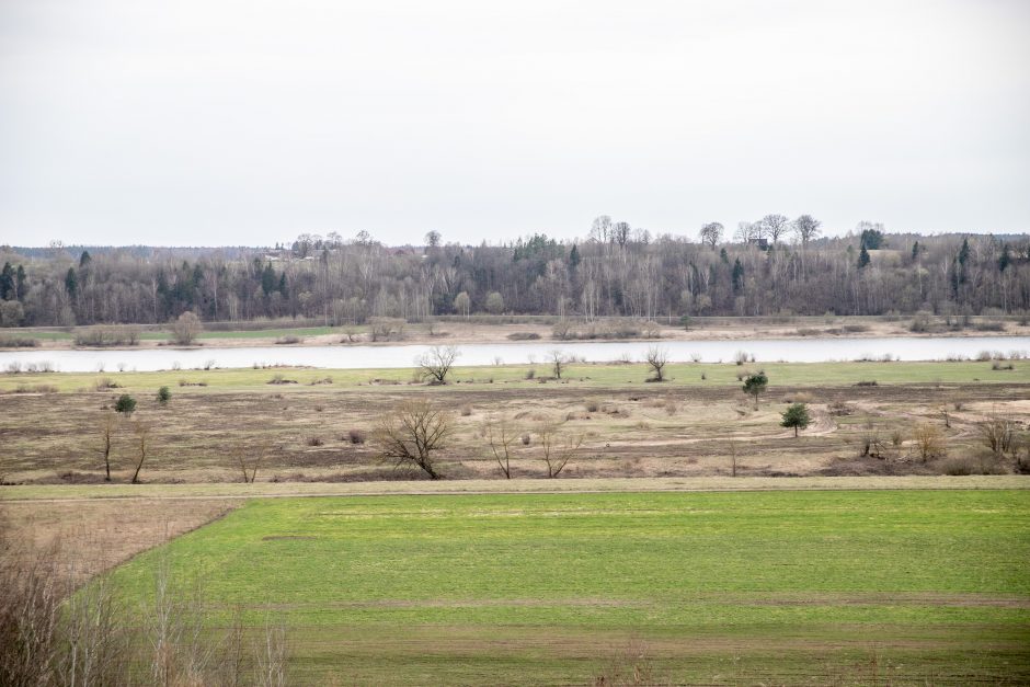 Pakarklės miškas – tikras lobynas: yra sakančių, kad čia Lietuvos Šveicarija